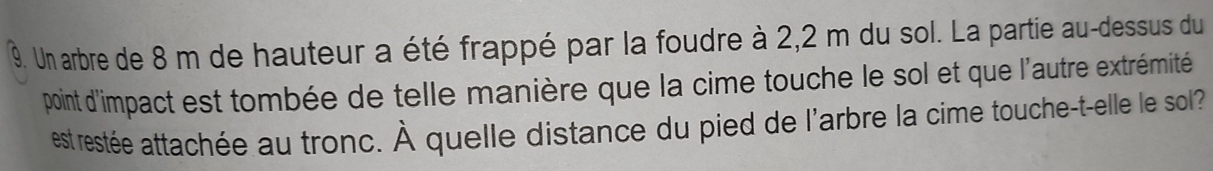 Un arbre de 8 m de hauteur a été frappé par la foudre à 2,2 m du sol. La partie au-dessus du 
point d'impact est tombée de telle manière que la cime touche le sol et que l'autre extrémité 
est restée attachée au tronc. À quelle distance du pied de l'arbre la cime touche-t-elle le sol