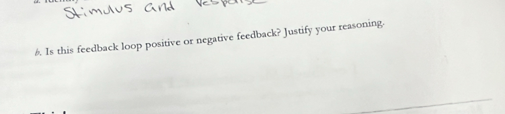 Is this feedback loop positive or negative feedback? Justify your reasoning.