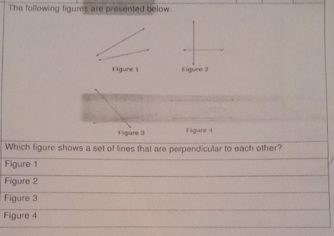 The following figures are presented below.
Figure 1 Figure 2
Figure 3 Figure 4
Which figure shows a set of lines that are perpendicular to each other?
Figure 1
Figure 2
Figure 3
Figure 4