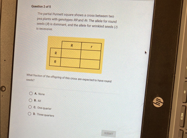 The partial Punnett square shows a cross between two
pea plants with genotypes RR and Rr. The allele for round
seeds (R) is dominant, and the allele for wrinkled seeds (r)
is recessive.
What fraction of the offspring of this cross are expected to have round
seeds?
A. None
B.All
C. One-quarter
D. Three-quarters
SUBMIT