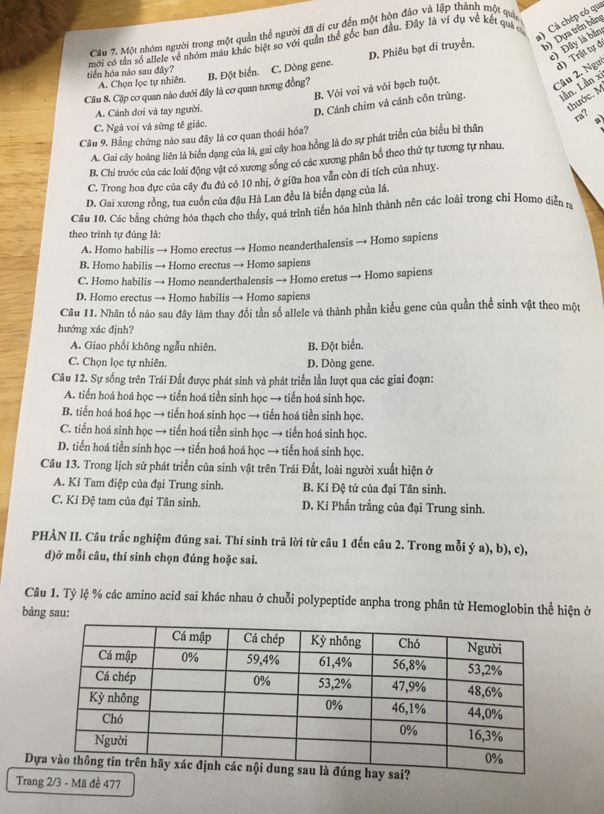 Dựa trên bằng
Câu 7. Một nhóm người trong một quần thể người đã di cư đến một hòn đảo và lập thành một quản
mới có tần số allele về nhóm máu khác biệt so với quần thể gốc ban đầu. Đây là ví dụ về kết quả có
a) Cá chép có qu
c) Đây là bằn
Câu 2. Ngư d) Trật tự đ
A. Chọn lọc tự nhiên. B. Đột biến. C. Dòng gene. D. Phiêu bạt di truyền.
tiến hóa nào sau đây?
lần. Lần xỉ
B. Vòi voi và vòi bạch tuột.
Câu 8. Cặp cơ quan nào dưới đây là cơ quan tương đồng?
A. Cánh dơi và tay người.
thước. M
D. Cánh chim và cánh côn trùng.
ra?
C. Ngà voi và sừng tê giác.
Câu 9. Bằng chứng nào sau đây là cơ quan thoái hóa?
A. Gai cây hoàng liên là biến dạng của lá, gai cây hoa hồng là do sự phát triển của biểu bì thân a)
B. Chi trước của các loài động vật có xương sống có các xương phân bố theo thứ tự tương tự nhau.
C. Trong hoa đực của cây đu đủ có 10 nhị, ở giữa hoa vẫn còn di tích của nhuỵ.
D. Gai xương rồng, tua cuốn của đậu Hà Lan đều là biến dạng của lá.
Câu 10. Các bằng chứng hóa thạch cho thấy, quá trình tiến hóa hình thành nên các loài trong chi Homo diễn ra
theo trình tự đúng là:
A. Homo habilis → Homo erectus → Homo neanderthalensis → Homo sapiens
B. Homo habilis → Homo erectus → Homo sapiens
C. Homo habilis → Homo neanderthalensis → Homo eretus → Homo sapiens
D. Homo erectus → Homo habilis → Homo sapiens
Câu 11. Nhân tố nào sau đây làm thay đổi tần số allele và thành phần kiểu gene của quần thể sinh vật theo một
hướng xác định?
A. Giao phối không ngẫu nhiên. B. Đột biến.
C. Chọn lọc tự nhiên. D. Dòng gene.
Câu 12. Sự sống trên Trái Đất được phát sinh và phát triển lần lượt qua các giai đoạn:
A. tiến hoá hoá học → tiến hoá tiền sinh học → tiến hoá sinh học.
B. tiến hoá hoá học → tiến hoá sinh học → tiến hoá tiền sinh học.
C. tiến hoá sinh học → tiến hoá tiền sinh học → tiến hoá sinh học.
D. tiến hoá tiền sinh học → tiến hoá hoá học → tiến hoá sinh học.
Câu 13. Trong lịch sử phát triển của sinh vật trên Trái Đất, loài người xuất hiện ở
A. Kỉ Tam điệp của đại Trung sinh. B. Kỉ Đệ tứ của đại Tân sinh.
C. Kỉ Đệ tam của đại Tân sinh. D. Ki Phấn trắng của đại Trung sinh.
PHÀN II. Câu trắc nghiệm đúng sai. Thí sinh trã lời từ câu 1 đến câu 2. Trong mỗi ý a), b), c),
d)ở mỗi câu, thí sinh chọn đúng hoặc sai.
Câu 1. Tỷ lệ % các amino acid sai khác nhau ở chuỗi polypeptide anpha trong phân tử Hemoglobin thể hiện ở
bảng sau:
Dự
Trang 2/3 - Mã đề 477