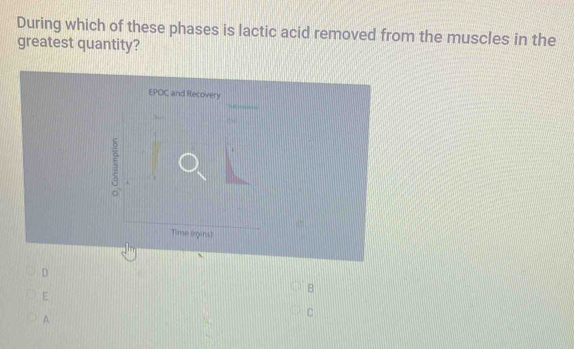 During which of these phases is lactic acid removed from the muscles in the 
greatest quantity? 
EPOC and Recovery 
~ 
Time (mins) 
D 
B 
E 
A 
C