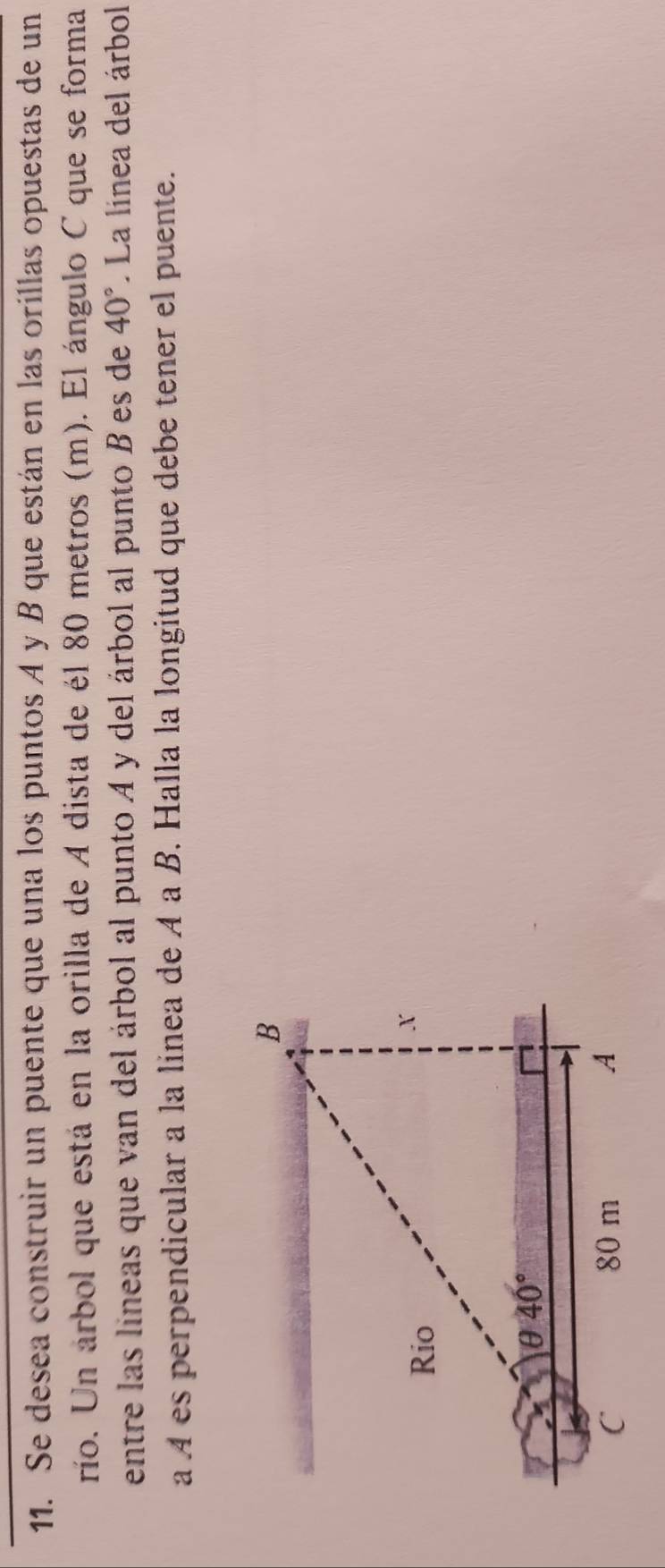 Se desea construir un puente que una los puntos A y B que están en las orillas opuestas de un
río. Un árbol que está en la orilla de A dista de él 80 metros (m). El ángulo C que se forma
entre las líneas que van del árbol al punto A y del árbol al punto B es de 40°. La línea del árbol
a A es perpendicular a la linea de A a B. Halla la longitud que debe tener el puente.