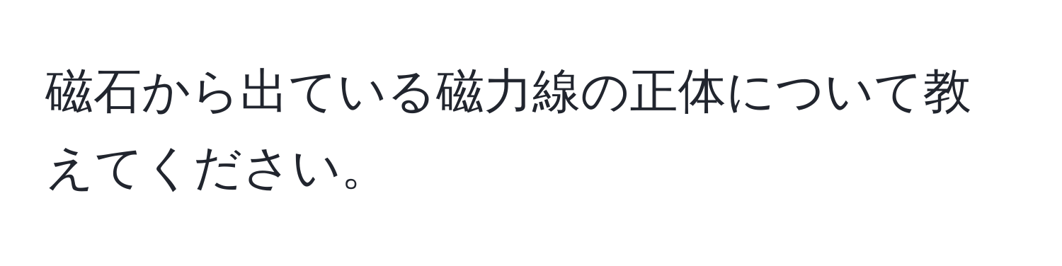 磁石から出ている磁力線の正体について教えてください。