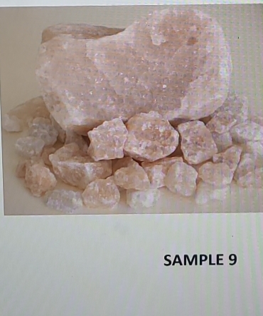 SAMPLE 9