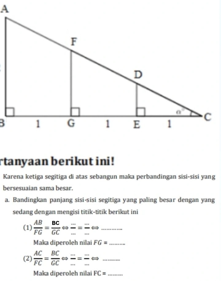 rtanyaan berikut ini!
Karena ketiga segitiga di atas sebangun maka perbandingan sisi-sisi yang
bersesuaian sama besar.
a. Bandingkan panjang sisi-sisi segitiga yang paling besar dengan yang
sedang dengan mengisi titik-titik berikut ini
(1)  AB/FG = BC/GC Leftrightarrow  (...)/... = (...)/... Leftrightarrow ........ _...........
Maka diperoleh nilai FG= _
(2)  AC/FC = BC/GC Leftrightarrow  (...)/... = (...)/...  _
Maka diperoleh nilai FC= _