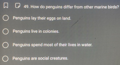 How do penguins differ from other marine birds?
Penguins lay their eggs on land.
Penguins live in colonies.
Penguins spend most of their lives in water.
Penguins are social creatures.