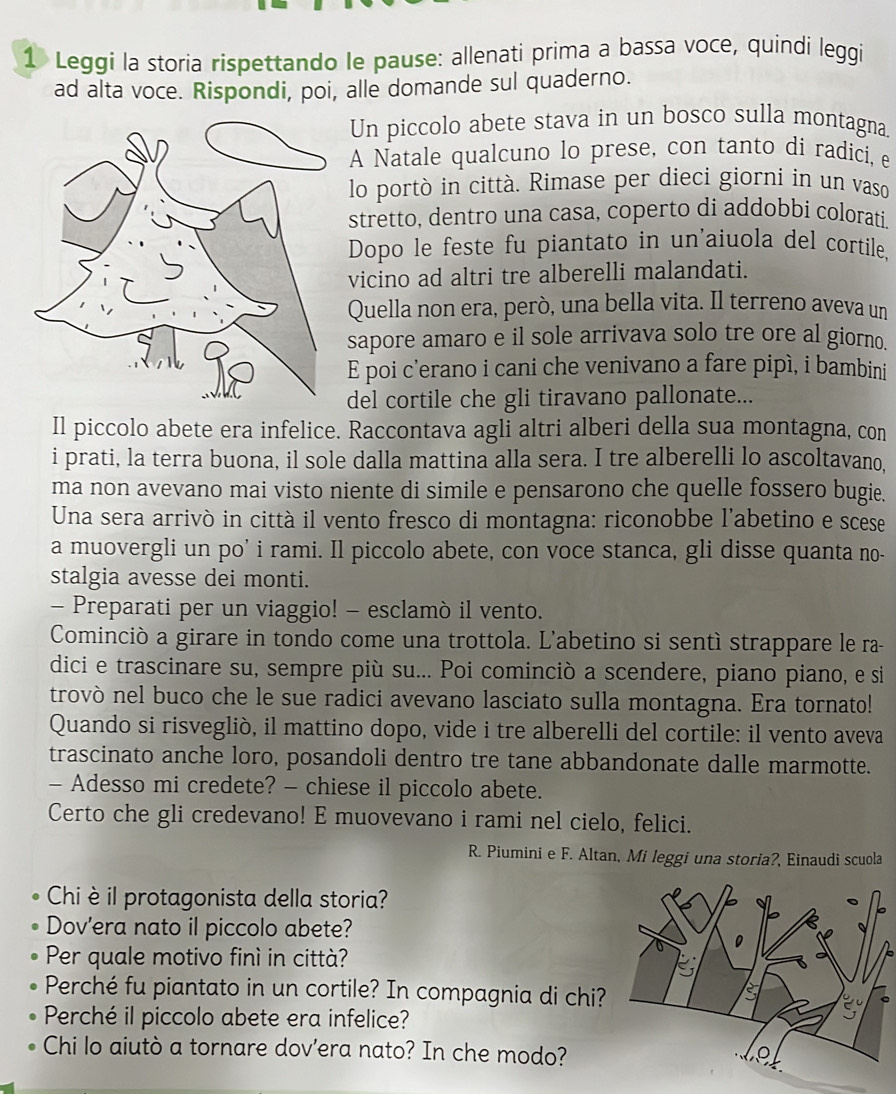 Leggi la storia rispettando le pause: allenati prima a bassa voce, quindí leggi
ad alta voce. Rispondi, poi, alle domande sul quaderno.
Un piccolo abete stava in un bosco sulla montagna
A Natale qualcuno lo prese, con tanto di radici, e
lo portò in città. Rimase per dieci giorni in un vaso
stretto, dentro una casa, coperto di addobbi colorati.
Dopo le feste fu piantato in un'aiuola del cortile,
vicino ad altri tre alberelli malandati.
Quella non era, però, una bella vita. Il terreno aveva un
sapore amaro e il sole arrivava solo tre ore al giorno.
E poi c'erano i cani che venivano a fare pipí, i bambini
del cortile che gli tiravano pallonate...
Il piccolo abete era infelice. Raccontava agli altri alberi della sua montagna, con
i prati, la terra buona, il sole dalla mattina alla sera. I tre alberelli lo ascoltavano,
ma non avevano mai visto niente di simile e pensarono che quelle fossero bugie.
Una sera arrivò in città il vento fresco di montagna: riconobbe l'abetino e scese
a muovergli un po' i rami. Il piccolo abete, con voce stanca, gli disse quanta no-
stalgia avesse dei monti.
- Preparati per un viaggio! - esclamò il vento.
Cominciò a girare in tondo come una trottola. L'abetino si sentì strappare le ra
dici e trascinare su, sempre più su... Poi cominciò a scendere, piano piano, e si
trovò nel buco che le sue radici avevano lasciato sulla montagna. Era tornato!
Quando si risvegliò, il mattino dopo, vide i tre alberelli del cortile: il vento aveva
trascinato anche loro, posandoli dentro tre tane abbandonate dalle marmotte.
- Adesso mi credete? - chiese il piccolo abete.
Certo che gli credevano! E muovevano i rami nel cielo, felici.
R. Piumini e F. Altan, Mi leggi una storia?, Einaudi scuola
Chi è il protagonista della storia?
Dov’era nato il piccolo abete?
Per quale motivo finì in città?
Perché fu piantato in un cortile? In compagnia di chi?
Perché il piccolo abete era infelice?
Chi lo aiutò a tornare dov’era nato? In che modo?