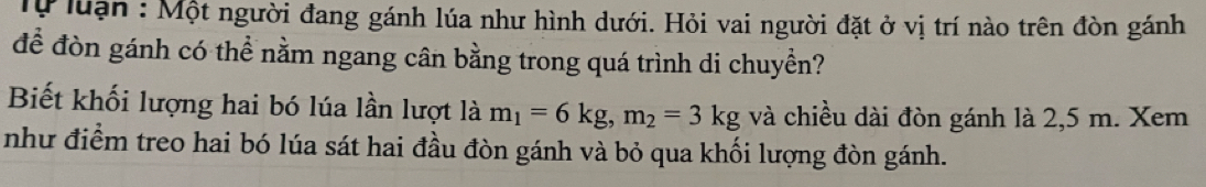 Tự luạn : Một người đang gánh lúa như hình dưới. Hỏi vai người đặt ở vị trí nào trên đòn gánh 
để đòn gánh có thể nằm ngang cân bằng trong quá trình di chuyền? 
Biết khối lượng hai bó lúa lần lượt là m_1=6kg, m_2=3kg và chiều dài đòn gánh là 2,5 m. Xem 
như điểm treo hai bó lúa sát hai đầu đòn gánh và bỏ qua khối lượng đòn gánh.