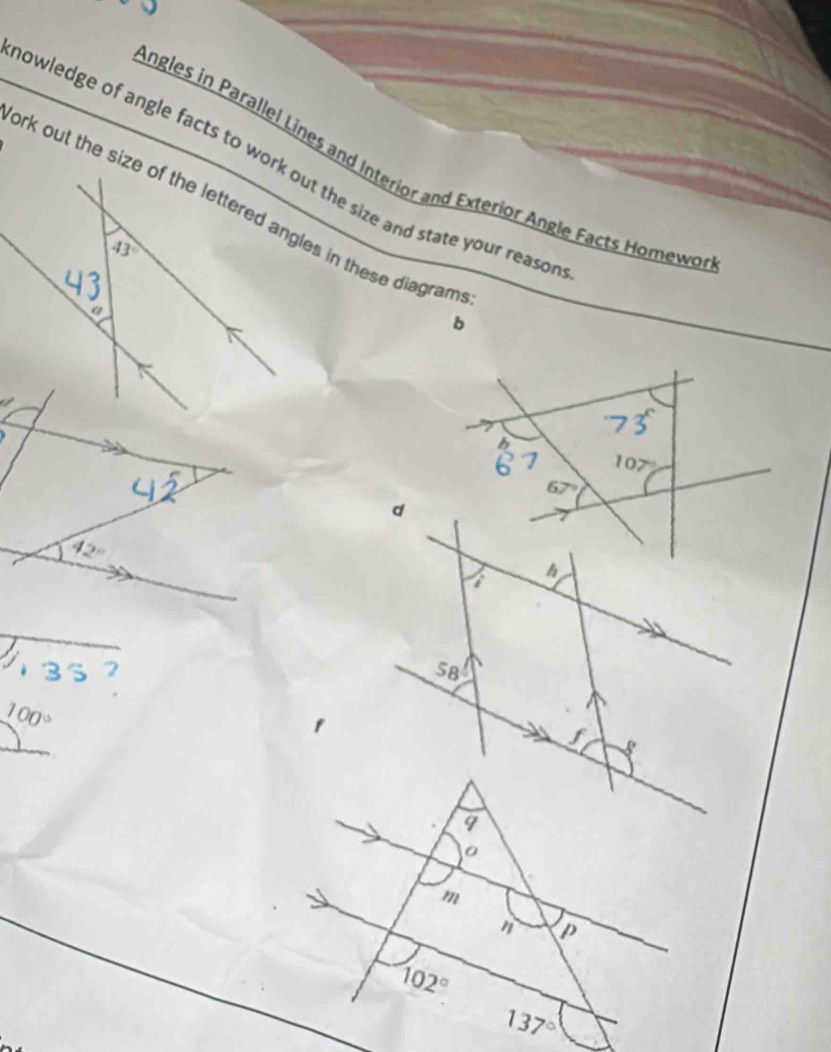 ngles in Parallel Lines and Interior and Exterior Angle Facts Homewo
owledge of angle facts to work out the size and state your reasor
b
6
I 107°
67°
d
42°
h
58°
100°