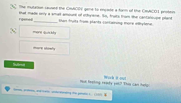 The mutation caused the CmACO1 gene to encode a form of the CmACO1 protein
that made only a small amount of ethylene. So, fruits from the cantaloupe plant
ripened _than fruits from plants containing more ethylene.
more quickly
more slowly
Submit
Work it out
Not feeling ready yet? This can help:
Genos, proteins, and traits: understanding the genetic c... (100)