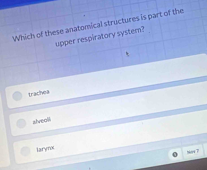 Which of these anatomical structures is part of the
upper respiratory system?
trachea
alveoli
larynx
Nov 7