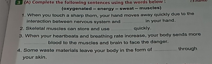 Complete the following sentences using the words below : ( 5mar3) 
(oxygenated - energy - sweat - muscles) 
1. When you touch a sharp thorn, your hand moves away quickly due to the 
interaction between nervous system and _In your hand. 
2. Skeletal muscles can store and use _quickly 
3. When your heartbeats and breathing rate increase, your body sends more 
_blood to the muscles and brain to face the danger. 
4. Some waste materials leave your body in the form of _through 
your skin.