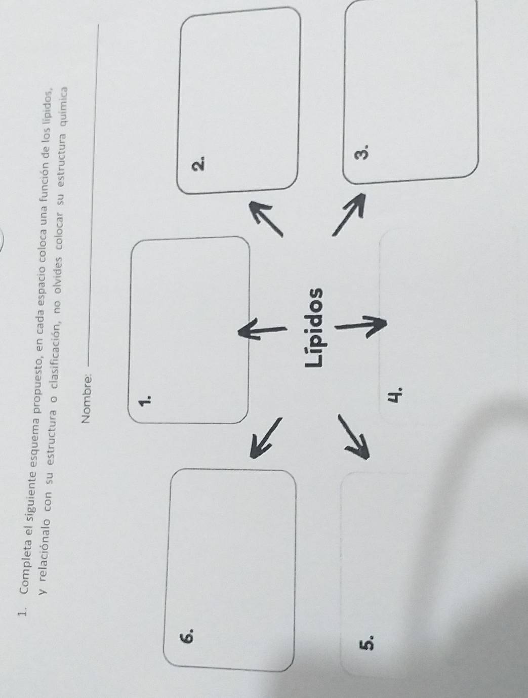 Completa el siguiente esquema propuesto, en cada espacio coloca una función de los lípidos, 
y relaciónalo con su estructura o clasificación, no olvides colocar su estructura química 
Nombre:_ 
1. 
6. 
2. 
Lípidos 
5. 
3. 
4.