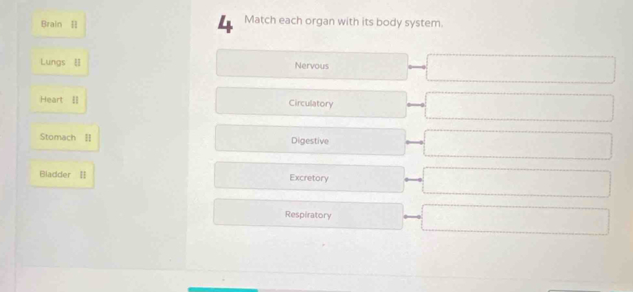 Brain l 4 Match each organ with its body system.
Lungs = Nervous
Heart  Circulatory
Stomach II Digestive
Bladder = Excretory
Respiratory