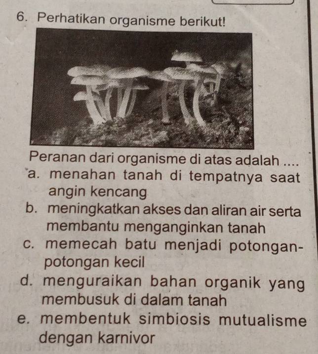 Perhatikan organisme berikut!
Peranan dari organisme di atas adalah ....
a. menahan tanah di tempatnya saat
angin kencang
b. meningkatkan akses dan aliran air serta
membantu menganginkan tanah
c. memecah batu menjadi potongan-
potongan kecil
d. menguraikan bahan organik yang
membusuk di dalam tanah
e. membentuk simbiosis mutualisme
dengan karnivor