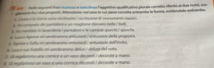 a Nelle aeguenti frasí rconosci e sottolinea l'aggettivo qualificativo plurale corretto riferito ai due nomi, sce- 
glendaio fra í due proposti. Attenzione: nel caso in cui siano corrette entrambe le forme, evidenziale entrambe. 
# atalle e la Grecie sono ricchissimi / ricchissime di monumenti classici. 
2. Hs comprato del pantalioni e un maglione davvero bello / belli. 
H mandato in laxanderia i pantaloni e le camicie sporchi / sporche. 
e Luca e Agnese mi sembrarono entusiosti / entusiaste della proposta. 
$. Agrese e Sofia mi sembrarono entusiasti / entusiaste dellinvito. 
4 Luca e suo fratello mi sembrarono delusi / deluse del voto. 
1. Gireglammo una comice e un vaso decorati / decorate a mano. 
Sl reglammo un vaso e una cornice decorati / decorate a mano.