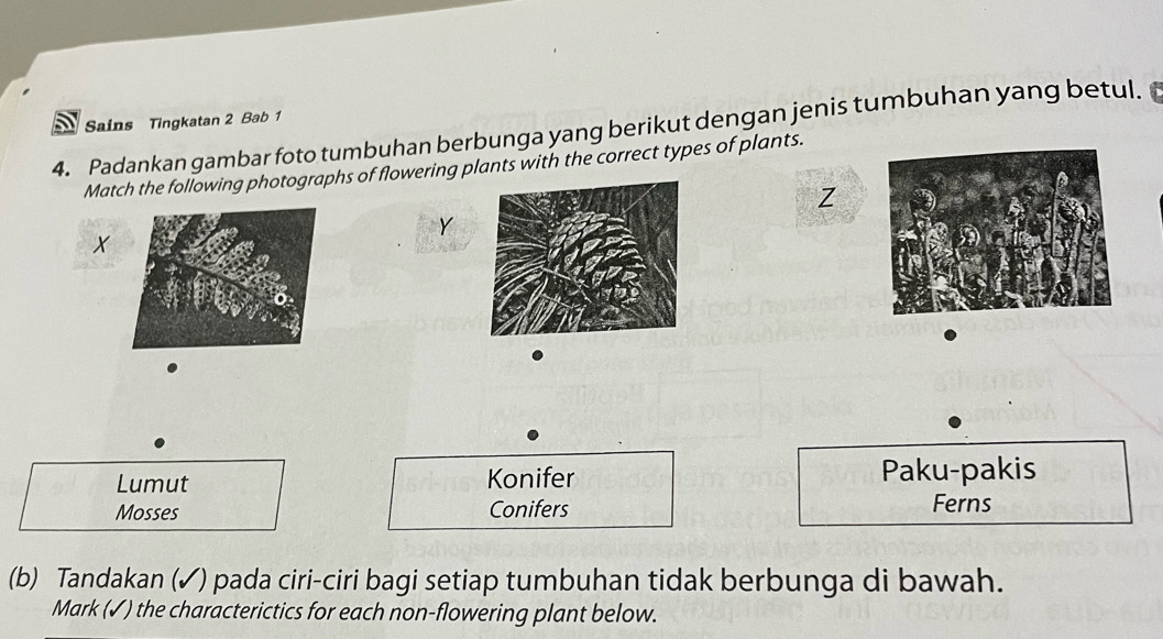 Sains Tingkatan 2 Bab 1
4. Padankan gambar foto tumbuhan berbunga yang berikut dengan jenis tumbuhan yang betul.
Match the following photographs of flowering plants with the correct types of plants.
Z
Y
X
Lumut Konifer Paku-pakis
Mosses Conifers Ferns
(b) Tandakan (✓) pada ciri-ciri bagi setiap tumbuhan tidak berbunga di bawah.
Mark (✓) the characterictics for each non-flowering plant below.