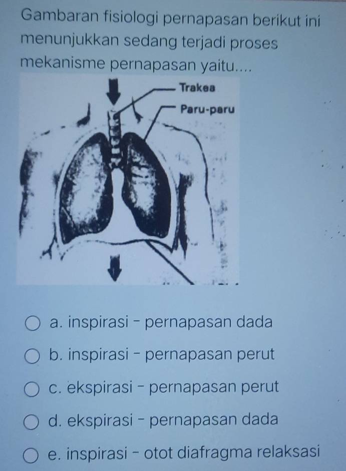 Gambaran fisiologi pernapasan berikut ini
menunjukkan sedang terjadi proses
mekanisme pernapasan yaitu....
a. inspirasi - pernapasan dada
b. inspirasi - pernapasan perut
c. ekspirasi - pernapasan perut
d. ekspirasi - pernapasan dada
e. inspirasi - otot diafragma relaksasi