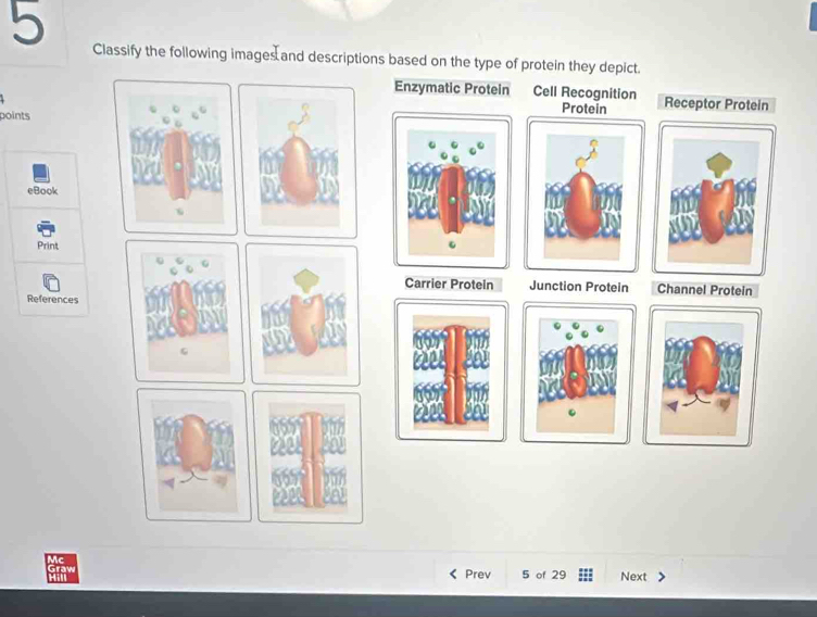 Solved: Classify the following images and descriptions based on the ...