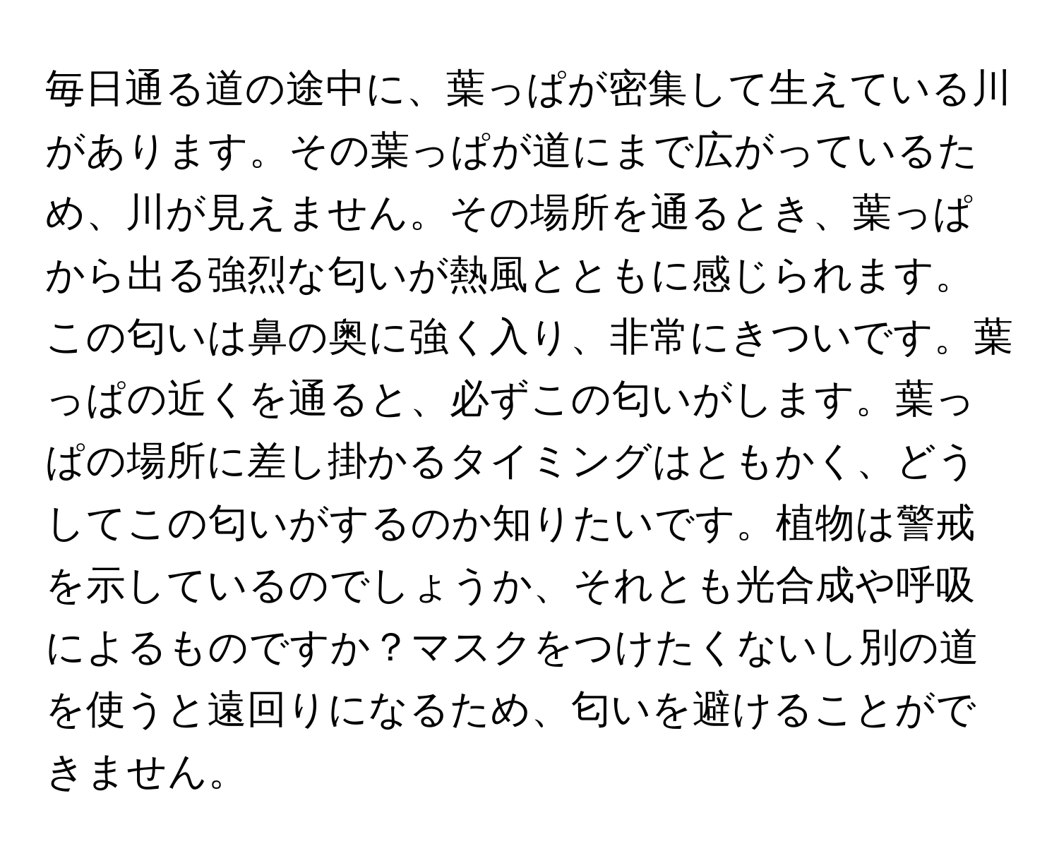 毎日通る道の途中に、葉っぱが密集して生えている川があります。その葉っぱが道にまで広がっているため、川が見えません。その場所を通るとき、葉っぱから出る強烈な匂いが熱風とともに感じられます。この匂いは鼻の奥に強く入り、非常にきついです。葉っぱの近くを通ると、必ずこの匂いがします。葉っぱの場所に差し掛かるタイミングはともかく、どうしてこの匂いがするのか知りたいです。植物は警戒を示しているのでしょうか、それとも光合成や呼吸によるものですか？マスクをつけたくないし別の道を使うと遠回りになるため、匂いを避けることができません。