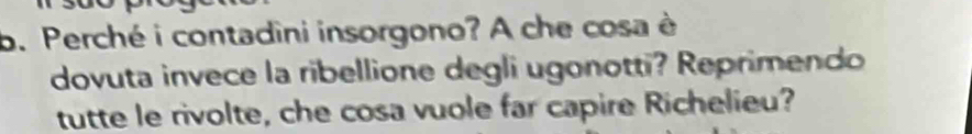 Perché i contadini insorgono? A che cosa è 
dovuta invece la ribellione degli ugonotti? Reprimendo 
tutte le rivolte, che cosa vuole far capire Richelieu?