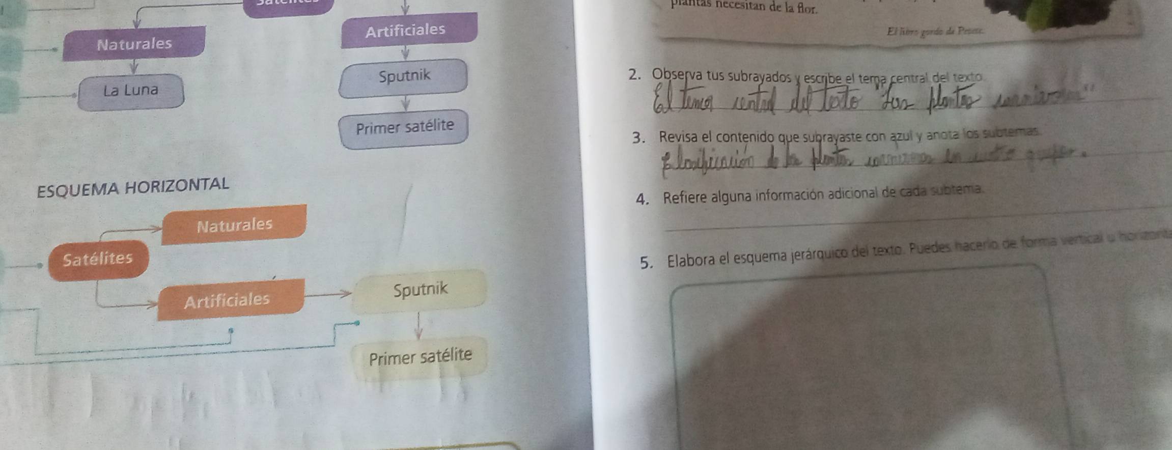 plantas necesitan de la flor. 
Naturales Artificiales _El libro gordo de Pesete. 
Sputnik 2. Observa tus subrayados y escribe el tema central del texto 
La Luna 
_ 
Primer satélite 
_ 
3. Revisa el contenido que subrayaste con azul y anota los subtemas. 
_ 
ESQUEMA HORIZONTAL 
4. Refiere alguna información adicional de cada subtema. 
Naturales 
Satélites 
5. Elabora el esquema jerárquico del texto. Puedes hacerio de forma vertical o horizonita 
Artificiales Sputnik 
Primer satélite