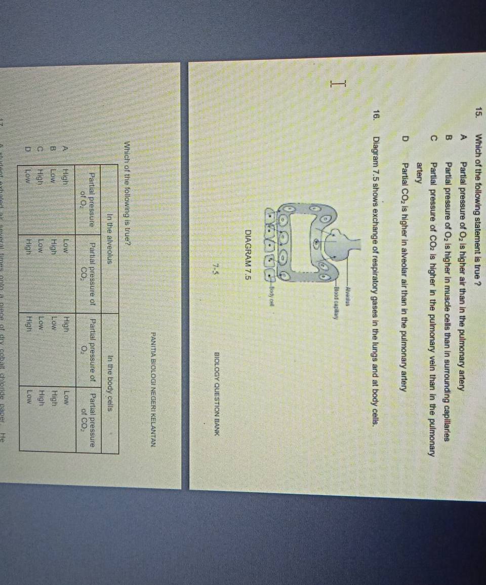 Which of the following statement is true ?
A Partial pressure of O_2 is higher air than in the pulmonary artery
B Partial pressure of O_2 is higher in muscle cells than in surrounding capillaries
C Partial pressure of CO_2 is higher in the pulmonary vein than in the pulmonary
artery
D Partial CO_2 is higher in alveolar air than in the pulmonary artery
16. Diagram 7.5 shows exchange of respiratory gases in the lungs and at body cells.
7-5 BIOLOGY QUESTION BANK
PANITIA BIOLOGI NEGERI KELANTAN
Which of the following is true?
at exhated air several times onto a piece of dry cobalf chlorde paper He
