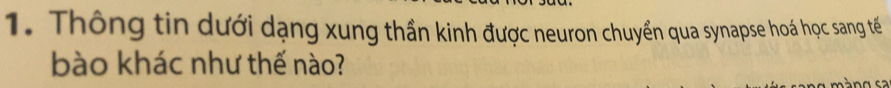 Thông tin dưới dạng xung thần kinh được neuron chuyển qua synapse hoá học sang tế 
bào khác như thế nào?