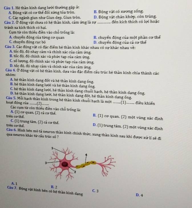 Hệ thần kinh dạng lưới thường gặp ở:
A. Động vật có cơ thể đối xứng tỏa tròn. B. Động vật có xương sống.
C. Các ngành giun như Giun dẹp, Giun tròn. D. Động vật chân khớp, côn trùng.
Câu 2. Ở động vật chưa có hệ thần kinh, cảm ứng là sự  _đến kích thích có lợi hoặc
tránh xa kích thích có hại.
Cụm từ còn thiếu điền vào chỗ trống là:
A. chuyển động của từng cơ quan B. chuyển động của một phần cơ thể
C. chuyển động cục bộ D. chuyển động của cả cơ thể
Câu 3. Các động vật có đặc điểm hệ thần kinh khác nhau có sư khác nhau về:
A. tốc độ, độ nhay cảm và chính xác của cảm ứng.
B. tốc độ, độ chính xác và phức tạp của cảm ứng.
C. số lượng, độ chính xác và phức tạp của cảm ứng,
D. tốc độ, độ nhay cảm và chính xác của cảm ứng.
Câu 4. Ở động vật có hệ thần kinh, dựa vào đặc điểm cấu trúc hệ thần kinh chia thành các
nhóm:
A. hệ thần kinh dạng đốt và hệ thần kinh dạng ống.
B. hệ thần kinh dạng lưới và hệ thần kinh dạng ống.
C. hệ thần kinh dạng lưới, hệ thần kinh dạng chuỗi hạch, hệ thần kinh dạng ống,
D. hệ thần kính dạng lưới, hệ thần kinh dạng đốt, hệ thần kinh dạng ống.
Câu 5. Mỗi hạch thần kinh trong hệ thần kinh chuỗi hạch là một .......(1)........ điều khiến
hoạt động của .(2)
Các cụm từ còn thiếu điền vào chỗ trống là:
A. (1) cơ quan, (2) cả cơ thể. B. (1) cơ quan, (2) một vùng xác định
trên cơ thể.
C. (1) trung tâm, (2) cả cơ thể. D. (1) trung tâm, (2) một vùng xác định
trên cơ thể,
Câu 6. Hình bên mô tả neuron thần kinh chính thức, xung thần kinh sau khi được xử lí sẽ đi
qua neuron khác từ cấu trúc số ?
A. 1 B. 2
C. 3
Câu 7. Động vật hình bên có hệ thần kinh dạng
D. 4