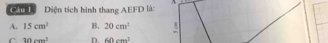 Diện tích hình thang AEFD là:
A. 15cm^2 B. 20cm^2
C. 30cm^2 D. 60cm^2