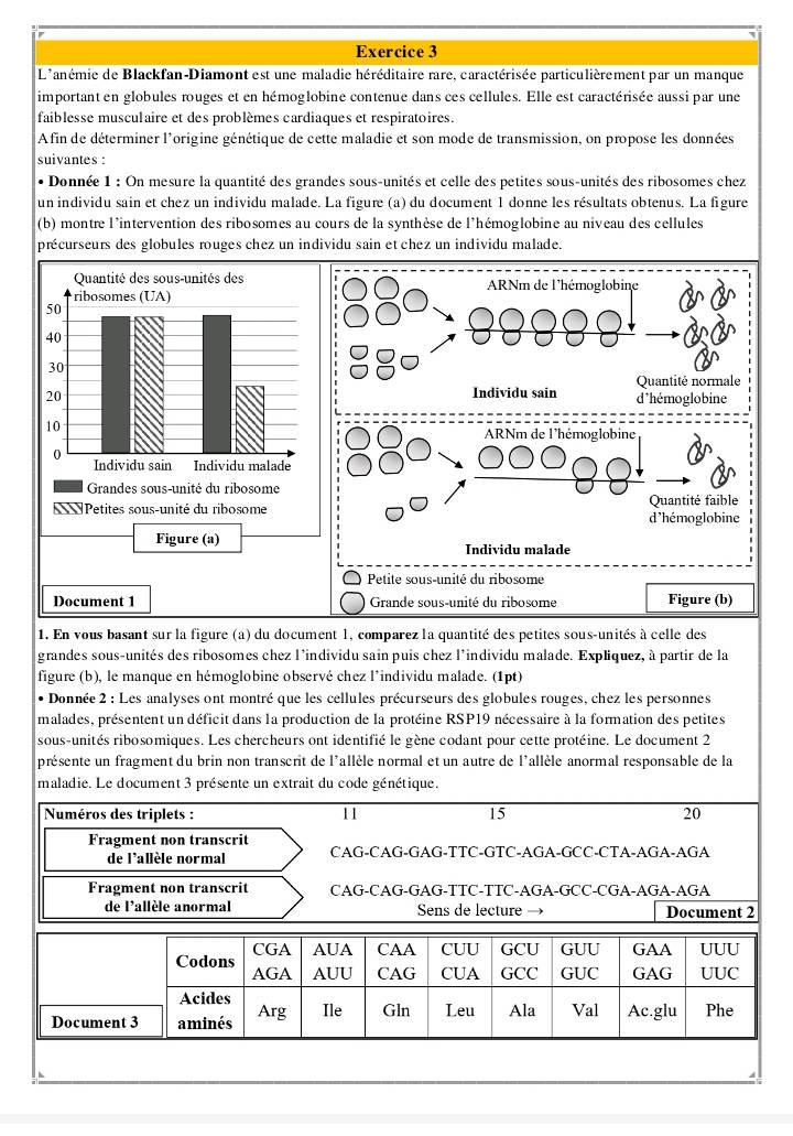 L'anémie de Blackfan-Diamont est une maladie héréditaire rare, caractérisée particulièrement par un manque
important en globules rouges et en hémoglobine contenue dans ces cellules. Elle est caractérisée aussi par une
faiblesse musculaire et des problèmes cardiaques et respiratoires.
Afin de déterminer l'origine génétique de cette maladie et son mode de transmission, on propose les données
suivantes :
* Donnée 1 : On mesure la quantité des grandes sous-unités et celle des petites sous-unités des ribosomes chez
un individu sain et chez un individu malade. La figure (a) du document 1 donne les résultats obtenus. La figure
(b) montre l'intervention des ribosomes au cours de la synthèse de l'hémoglobine au niveau des cellules
précurseurs des globules rouges chez un individu sain et chez un individu malade.
ARNm de l'hémoglobine
Quantité normale
Individu sain d˙hémoglobine
ARNm de l'hémoglobine
Quantité faible
d'hémoglobine
Figure (a) Individu malade
Petite sous-unité du ribosome
Document 1  Grande sous-unité du ribosome Figure (b)
1. En vous basant sur la figure (a) du document 1, comparez la quantité des petites sous-unités à celle des
grandes sous-unités des ribosomes chez l'individu sain puis chez l’individu malade. Expliquez, à partir de la
figure (b), le manque en hémoglobine observé chez l'individu malade. (1pt)
* Donnée 2 : Les analyses ont montré que les cellules précurseurs des globules rouges, chez les personnes
malades, présentent un déficit dans la production de la protéine RSP19 nécessaire à la formation des petites
sous-unités ribosomiques. Les chercheurs ont identifié le gène codant pour cette protéine. Le document 2
présente un fragment du brin non transcrit de l'allèle normal et un autre de l'allèle anormal responsable de la
maladie. Le document 3 présente un extrait du code génétique.
Numéros des triplets : 11 15 20
Fragment non transcrit CAG-CAG-GAG-TTC-GTC-AGA-GCC-CTA-AGA-AGA
de l'allèle normal
Fragment non transcrit CAG-CAG-GAG-TTC-TTC-AGA-GCC-CGA-AGA-AGA
de l'allèle anormal Sens de lecture → Document 2
CGA AUA CAA CUU GCU GUU GAA UUU
Codons AGA AUU CAG CUA GCC GUC GAG UUC
Acides
Document 3 aminés Arg Ile Gln Leu Ala Val Ac.glu Phe