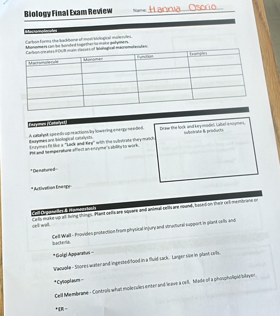 Biology Final Exam Review Name:_ 
Macromolecules 
Carbon forms the backbone of most biological molecules. 
Monomers can be bonded together to make polymers. 
ological macromolecules: 
Enzymes (Catalyst) 
A catalyst speeds up reactions by lowering energy needed. Draw the lock and key model. Label enzymes, 
Enzymes are biological catalysts. substrate & products 
Enzymes fit like a “Lock and Key” with the substrate they match 
PH and temperature affect an enzyme’s ability to work. 
Denatured- 
Activation Energy- 
Cells make up all living things. Plant cells are square and animal cells are round, based on their cell membrane or 
Cell Organelles & Homeostasis 
cell wall. 
Cell Wall - Provides protection from physical injury and structural support in plant cells and 
bacteria. 
*Golgi Apparatus - 
Vacuole - Stores water and ingested food in a fluid sack. Larger size in plant cells. 
*Cytoplasm - 
Cell Membrane - Controls what molecules enter and leave a cell. Made of a phospholipid bilayer. 
* ER -