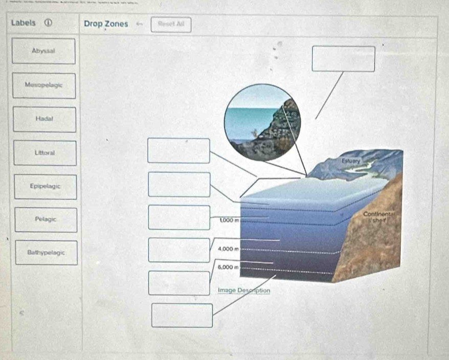 Labels ① Drop Zones Shese) All
Abyssal
Mesopelagic
Hada!
Littoral
Estuary
Epipelagic
Pelagic 1,000 m Continenta shef
Bathypelagic
4,000 m
6.000 m
Image Description