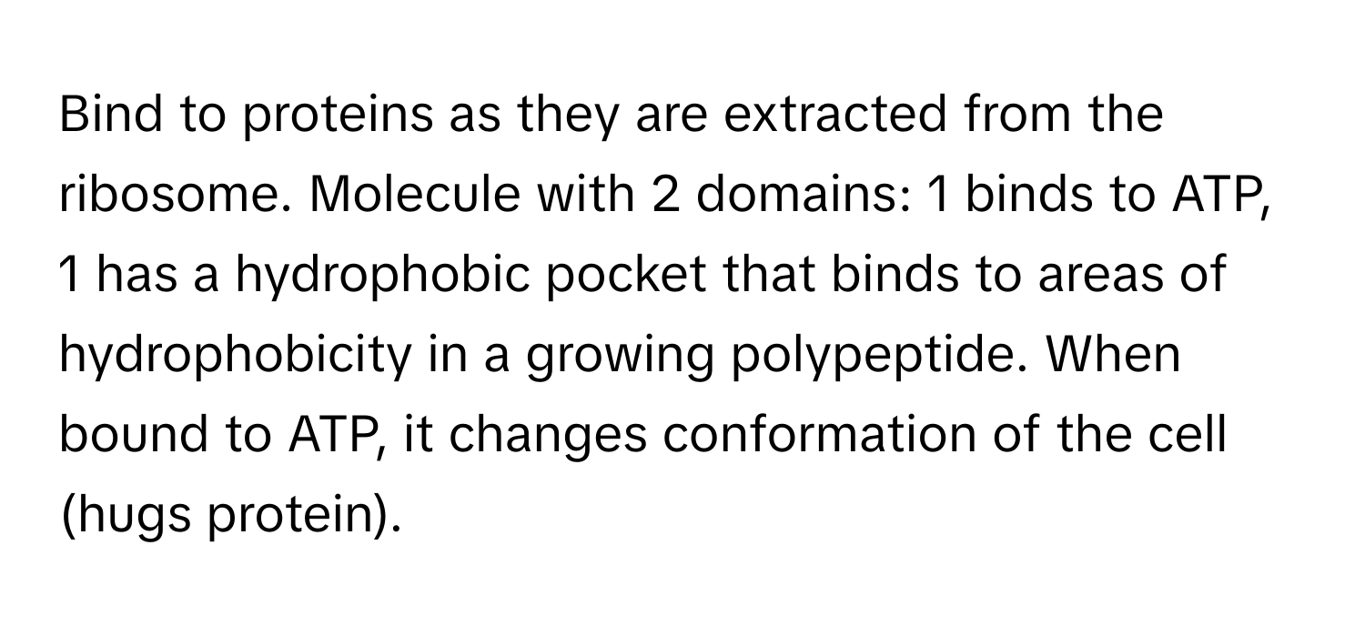 Bind to proteins as they are extracted from the ribosome. Molecule with 2 domains: 1 binds to ATP, 1 has a hydrophobic pocket that binds to areas of hydrophobicity in a growing polypeptide. When bound to ATP, it changes conformation of the cell (hugs protein).