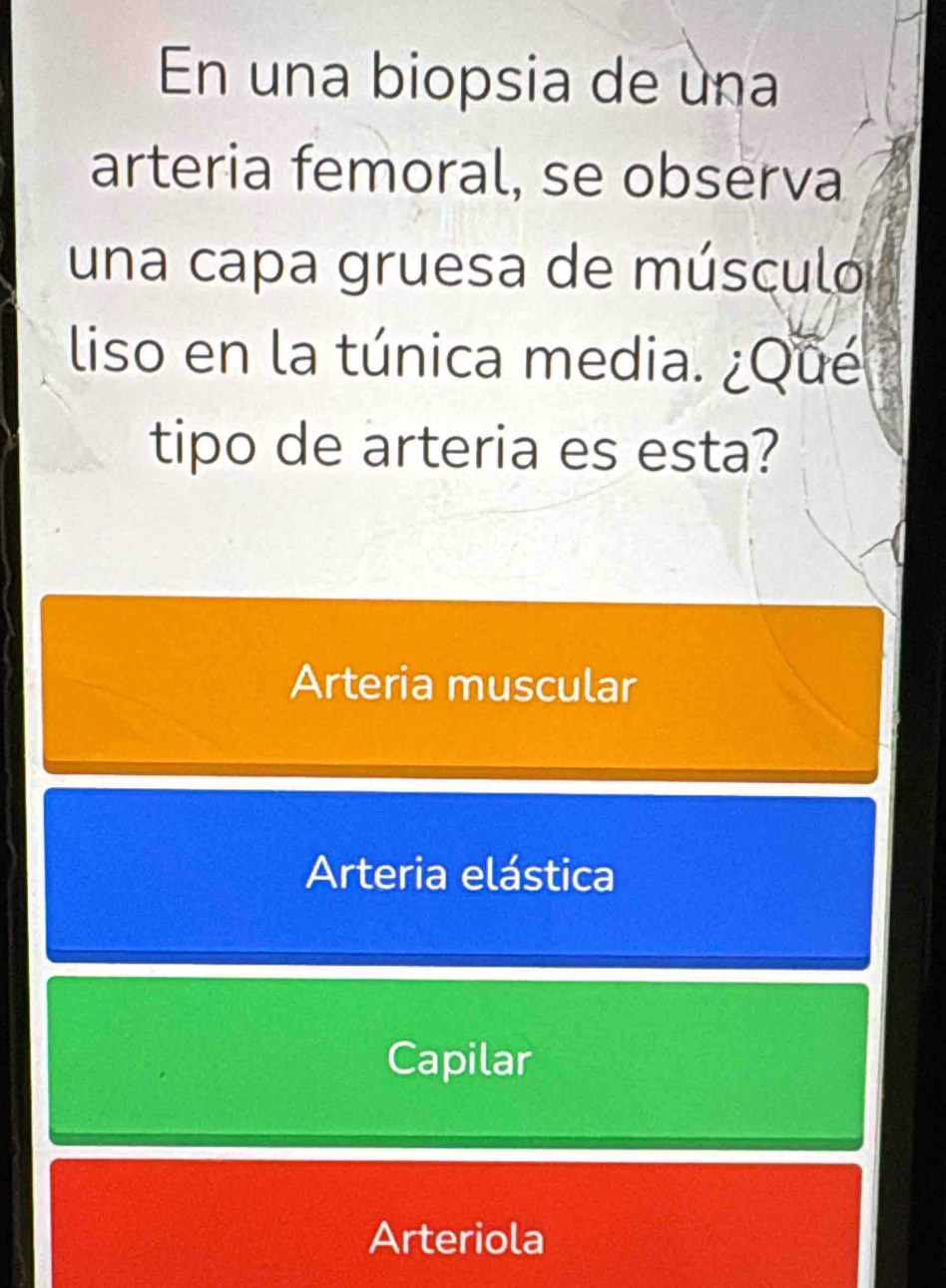 En una biopsia de una
arteria femoral, se observa
una capa gruesa de músculo
liso en la túnica media. ¿Que
tipo de arteria es esta?
Arteria muscular
Arteria elástica
Capilar
Arteriola