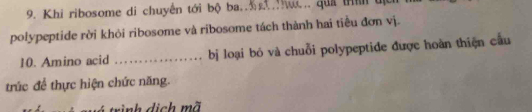 Khi ribosome di chuyển tới bộ ba.. g Thực. quả tì t 
polypeptide rời khỏi ribosome và ribosome tách thành hai tiểu đơn vị. 
10. Amino acid _ bị loại bỏ và chuỗi polypeptide được hoàn thiện cầu 
trúc để thực hiện chức năng. 
tr ình dịch mã