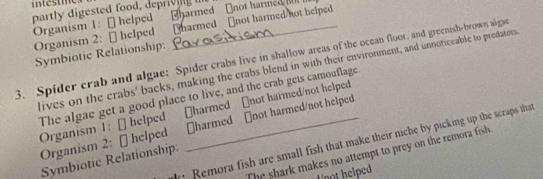 partly digested food, deprivilg 
Organism 1: [ helped Tharmed [not harmed 
Organism 2: [] helped harmed [not harmed not helped 
Symbiotic Relationship: 
3. Spider crab and algae: Spider crabs live in shallow areas of the ocean floor, and greenish-brown algac 
lives on the crabs' backs, making the crabs blend in with their environment, and unnoticeable to predators 
The algae get a good place to live, and the crab gets camouflage 
Organism 1: [] helped [harmed [not harmed/not helped 
Organism 2: [] helped []harmed [not harmed/not helped 
Remora fish are small fish that make their niche by picking up the scraps tha 
The shark makes no attempt to prey on the remora fish 
Symbiotic Relationship 
Unot helped