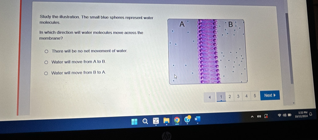 Study the illustration. The small blue spheres represent water
molecules. 
In which direction will water molecules move across the
membrane?
There will be no net movement of water.
Water will move from A to B.
Water will move from B to A.
1 2 3 4 5 Next ▶
1:22 PM
10/12/2024 a