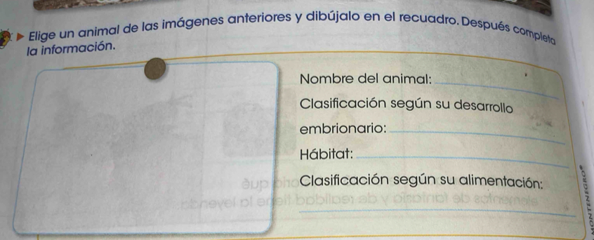 Elige un animal de las imágenes anteriores y dibújalo en el recuadro. Después completa 
la información. 
Nombre del animal:_ 
Clasificación según su desarrollo 
embrionario:_ 
Hábitat:_ 
Clasificación según su alimentación: 
__