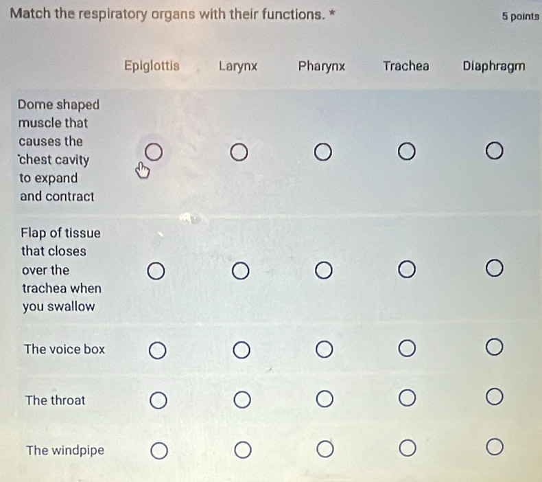 Solved: Match the respiratory organs with their functions. * 5 points ...