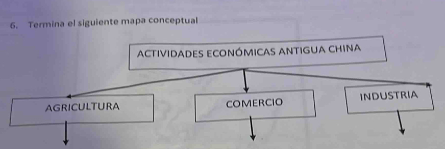 Termina el siguiente mapa conceptual