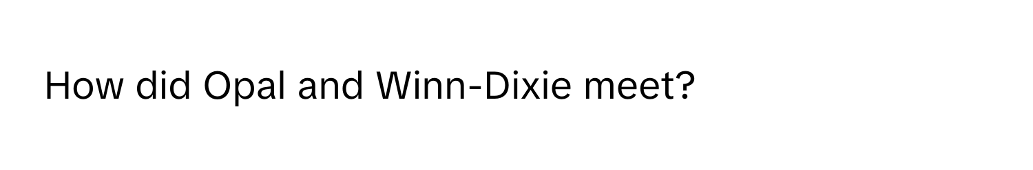 How did Opal and Winn-Dixie meet?