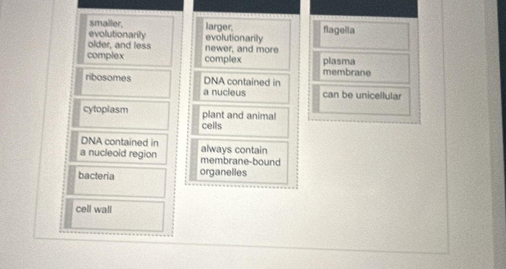 smaller. larger, flagella
evolutionarily evolutionarily
older, and less newer, and more
complex complex plasma
membrane
ribosomes DNA contained in
a nucleus can be unicellular
cytoplasm plant and animal
cells
DNA contained in always contain
a nucleoid region membrane-bound
bacteria organelles
cell wall