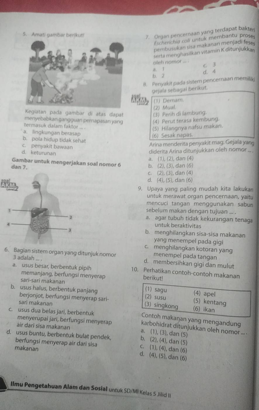 Amati gambar berikut!
7. Organ pencernaan yang terdapat bakter
Escherichia coli untuk membantu proses
pembusukan sisa makanan menjadi feses
serta menghasilkan vitamin K ditunjukkan
oleh nomor ... .
c 3
a. 1
b. 2 d. 4
B. Penyakit pada sistem pencernaan memiliki
gejala sebagai berikut.
(1) Demam.
(2) Mual.
Kegiatan pada gambar di atas dapat (3) Perih di lambung.
menyebabkan gangguan pemapasan yang (4) Perut terasa kembung.
termasuk dalam faktor ... .
(5) Hilangnya nafsu makan.
a. lingkungan berasap
(6) Sesak napas.
b. pola hidup tidak sehat
c. penyakit bawaan
Arina menderita penyakit mag. Gejala yang
d. keturunan
diderita Arina ditunjukkan oleh nomor ... .
a. (1), (2), dan (4)
Gambar untuk mengerjakan soal nomor 6 b. (2), (3), dan (6)
dan 7.
c. (2), (3), dan (4)
d. (4), (5), dan (6)
9. Upaya yang paling mudah kita lakukan
untuk merawat organ pencernaan, yaitu
mencuci tangan menggunakan sabun
sebelum makan dengan tujuan ... .
a. agar tubuh tidak kekurangan tenaga
untuk beraktivitas
b. menghilangkan sisa-sisa makanan
yang menempel pada gigi
c. menghilangkan kotoran yang
menempel pada tangan
6. Bagian sistem organ yang ditunjuk nomor d. membersihkan gigi dan mulut
3 adalah ... .
a. usus besar, berbentuk pipih
10. Perhatikan contoh-contoh makanan
memanjang, berfungsi menyerap
berikut!
sari-sari makanan
(1) sagu (4) apel
b. usus halus, berbentuk panjang (2) susu (5) kentang
berjonjot, berfungsi menyerap sari- (3) singkong
sari makanan (6) ikan
c. usus dua belas jari, berbentuk
Contoh makaŋan yang mengandung
menyerupai jari, berfungsi menyerap karbohidrat ditunjukkan oleh nomor ... .
air dari sisa makanan
a. (1), (3), dan (5)
d. usus buntu, berbentuk bulat pendek, b. (2), (4), dan (5)
berfungsi menyerap air dari sisa
makanan
c. (1), (4), dan (6)
d. (4), (5), dan (6)
Ilmu Pengetahuan Alam dan Sosial untuk SD/MI Kelas 5 Jilid II