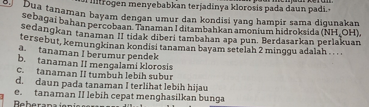 trogen menyebabkan terjadinya klorosis pada daun padi.
o Dua tanaman bayam dengan umur dan kondisi yang hampir sama digunakan
sebagai bahan percobaan. Tanaman I ditambahkan amonium hidroksida (NH_4OH), 
sedangkan tanaman II tidak diberi tambahan apa pun. Berdasarkan p
tersebut, kemungkinan kondisi tanaman bayam setelah 2 minggu adalah . . . .
a. tanaman I berumur pendek
b. tanaman II mengalami klorosis
c. tanaman II tumbuh lebih subur
d. daun pada tanaman I terlihat lebih hijau
e. tanaman II lebih cepat menghasilkan bunga
Beberapaienia