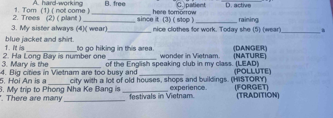 A. hard-working B. free C.)patient _D. active
1. Tom (1) ( not come ) _here tomorrow
2. Trees (2) ( plant ) _since it (3) ( stop ) _raining
3. My sister always (4)( wear)_ nice clothes for work. Today she (5) (wear)_ a
blue jacket and shirt.
1. It is _to go hiking in this area. (DANGER)
2. Ha Long Bay is number one _wonder in Vietnam. (NATURE)
3. Mary is the _of the English speaking club in my class. (LEAD)
4. Big cities in Vietnam are too busy and _(POLLUTE)
5. Hoi An is a _city with a lot of old houses, shops and buildings. (HISTORY)
6. My trip to Phong Nha Ke Bang is _experience. (FORGET)
. There are many_ festivals in Vietnam. (TRADITION)