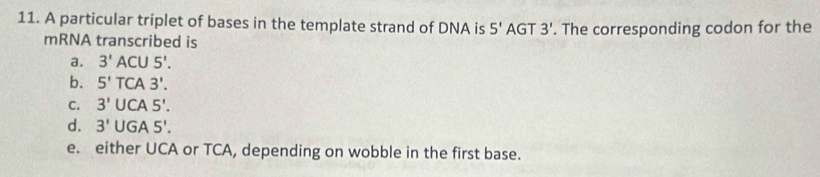 A particular triplet of bases in the template strand of DNA is 5' AGT 3'. The corresponding codon for the
mRNA transcribed is
a. 3'ACU5'.
b. 5'TCA3'.
C. 3'UCA5'.
d. 3'UGA5'.
e. either UCA or TCA, depending on wobble in the first base.