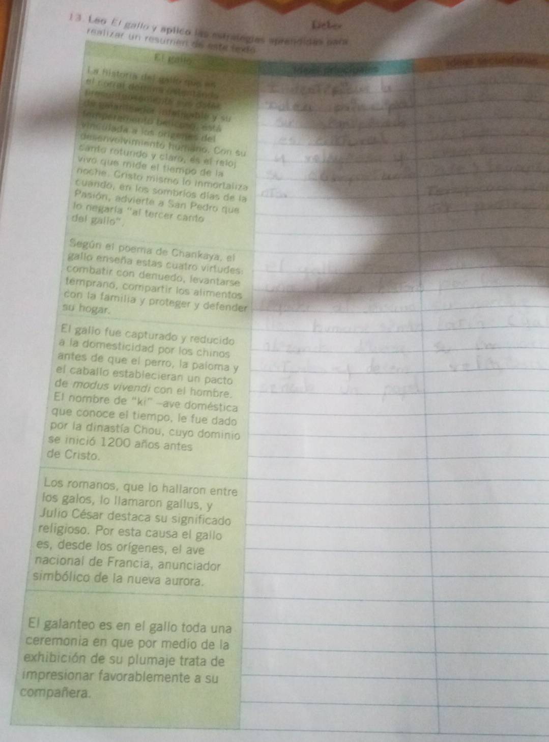 Lieker 
13. Leo El gallo y aplico las estra 
realizar un 
s 
E 
ce 
ex 
im 
co