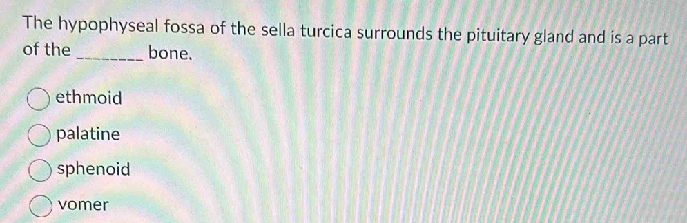 The hypophyseal fossa of the sella turcica surrounds the pituitary gland and is a part
of the _bone.
ethmoid
palatine
sphenoid
vomer